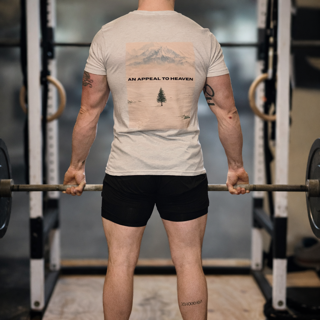 Appeal to Heaven Tri-Blend T-shirt